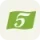 Five Surveys logo